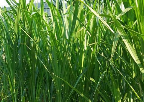 1631524347760461.jpg 1631524347760461.jpg