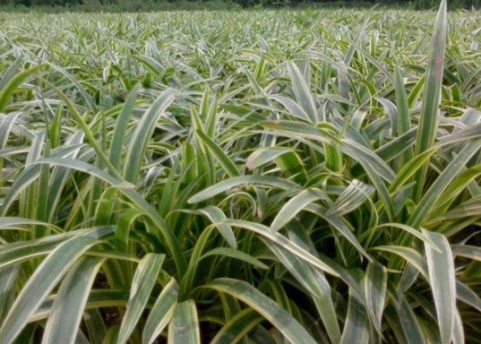 1631608059779610.jpg image.jpg