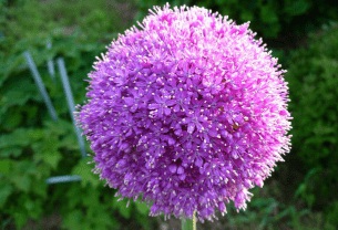 1631668077853130.jpg 1631668077853130.jpg