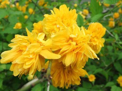 1631668940346672.jpg 1631668940346672.jpg