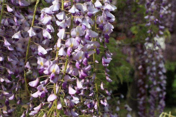 1631669233735005.jpg 1631669233735005.jpg