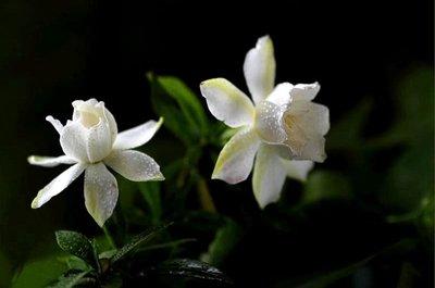 1631673820643048.jpg 1631673820643048.jpg