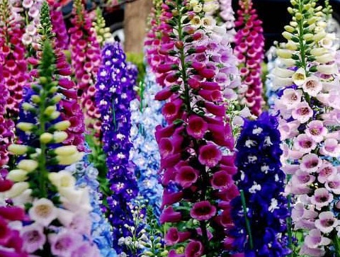 1631751257612854.jpg 1631751257612854.jpg