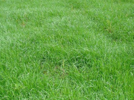 1631751334126462.jpg 1631751334126462.jpg