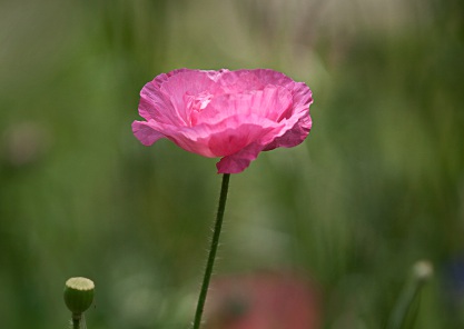 1631752032322856.jpg 1631752032322856.jpg