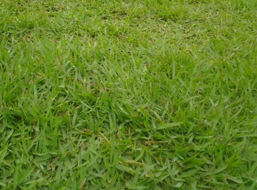 1631752388474861.jpg 1631752388474861.jpg