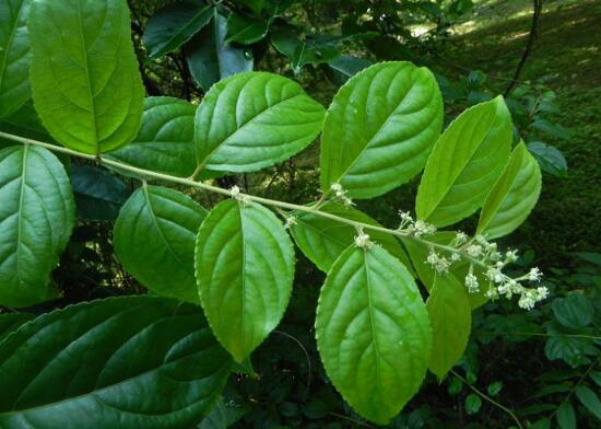 1631784955517662.jpg 1631784955517662.jpg