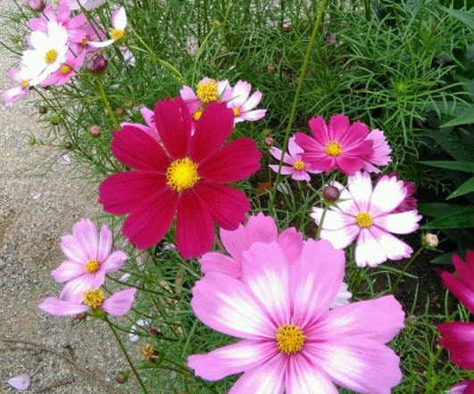 1631788370855866.jpg image.jpg