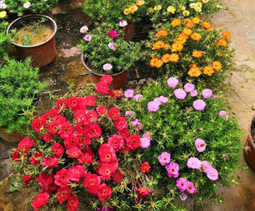 1631788731330393.jpg image.jpg