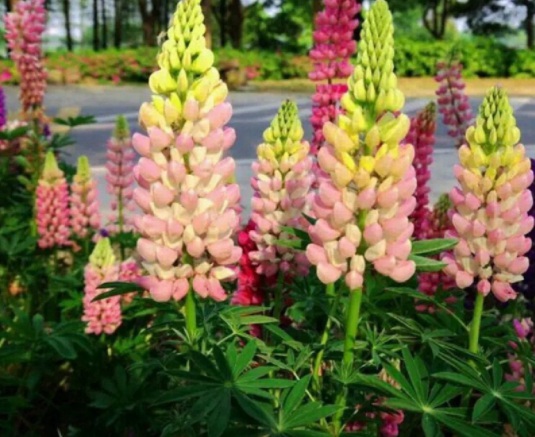 1631799022480160.jpg image.jpg