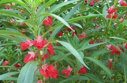 1631842560452281.jpg 1631842560452281.jpg