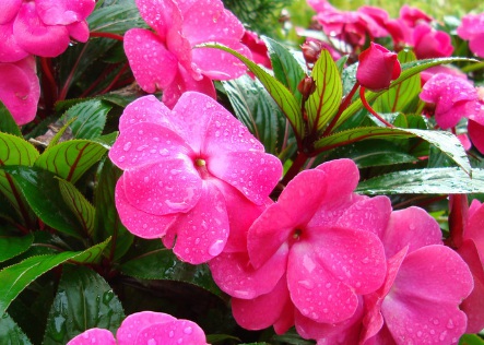 1631842572625793.jpg 1631842572625793.jpg