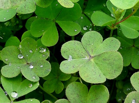 1631842967728126.jpg 1631842967728126.jpg