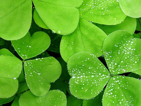 1631843106177016.jpg 1631843106177016.jpg