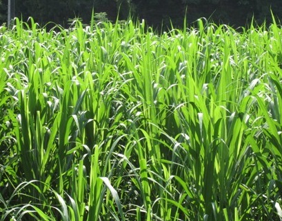 1631843430513771.jpg 1631843430513771.jpg