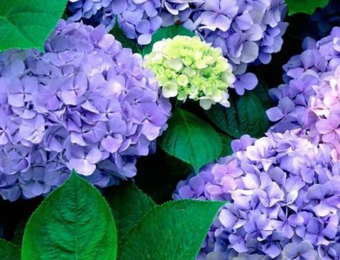 1631845003490629.jpg 1631845003490629.jpg