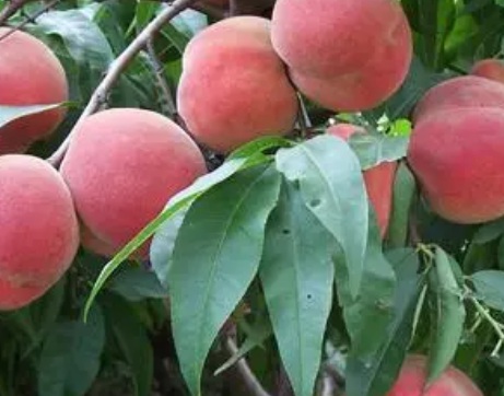 1631845657736320.jpg 1631845657736320.jpg