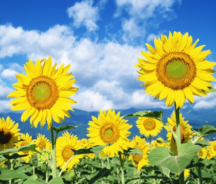 1631846463244413.jpg 1631846463244413.jpg