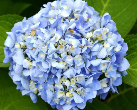 1631846895978792.jpg 1631846895978792.jpg