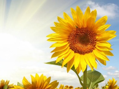 1631847095218654.jpg 1631847095218654.jpg