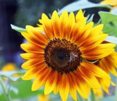 1631847117798958.jpg 1631847117798958.jpg