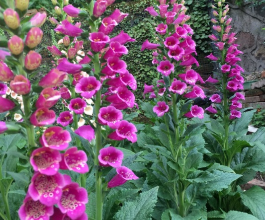 1631850927460640.jpg image.jpg