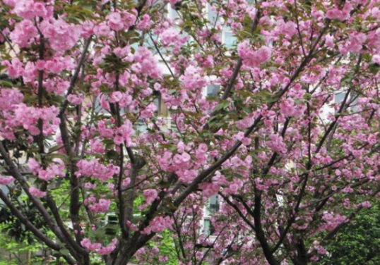 1631853766749131.jpg image.jpg