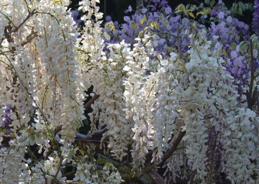 1631854305633303.jpg image.jpg