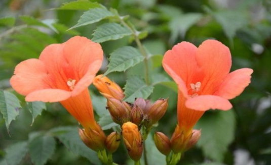 1631854799842241.jpg image.jpg