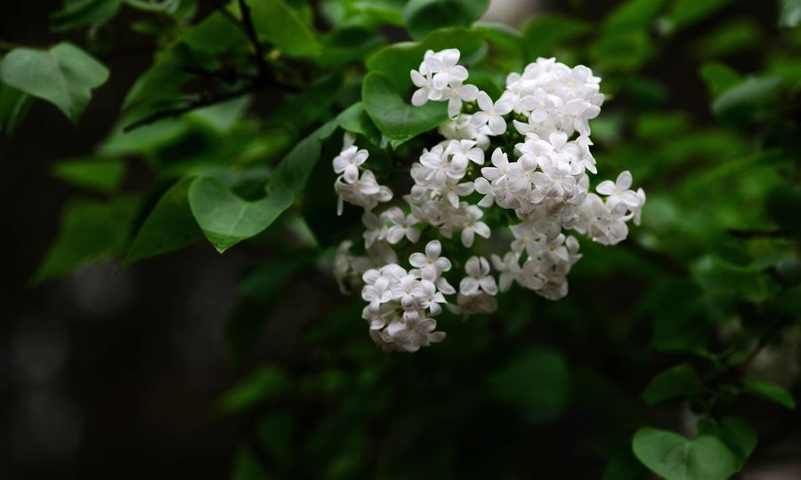 1631881615949481.jpg 1631881615949481.jpg