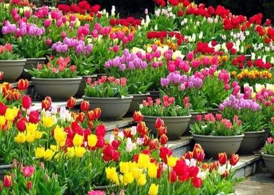 1631887519192259.jpg 1631887519192259.jpg