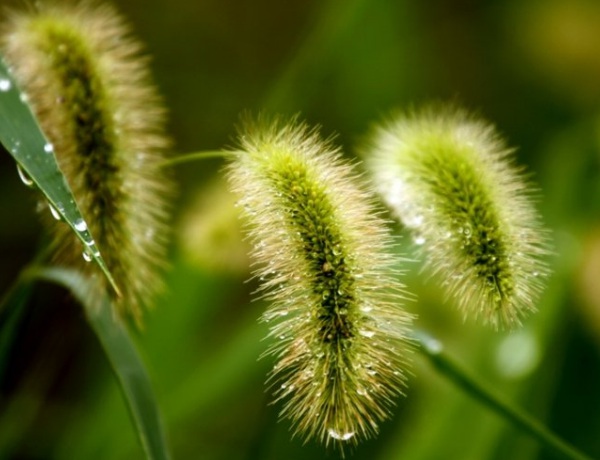 1631888235249446.jpg image.jpg