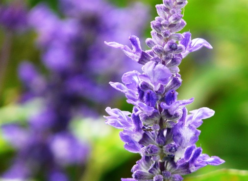 1631888631697636.jpg image.jpg