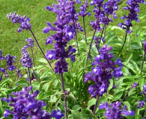 1631888644764862.jpg image.jpg