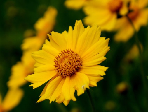 1631888902367375.jpg 1631888902367375.jpg