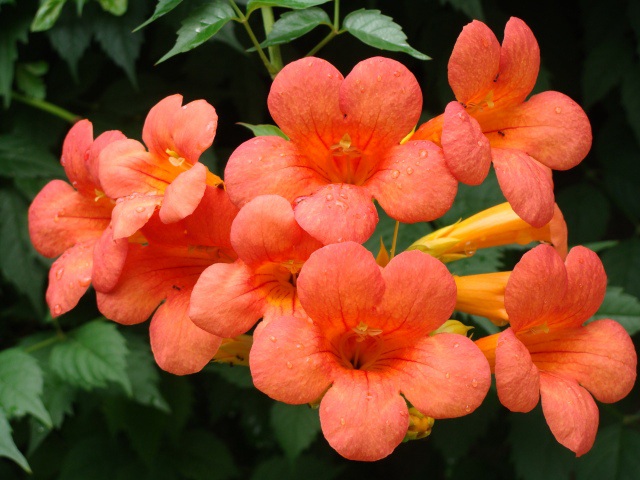 1631889082432605.jpg 1631889082432605.jpg