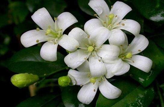 1631959167435025.jpg 1631959167435025.jpg