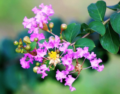 1631972792790744.jpg 1631972792790744.jpg