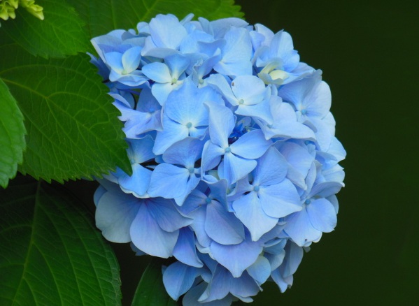 1632270891796414.jpg image.jpg