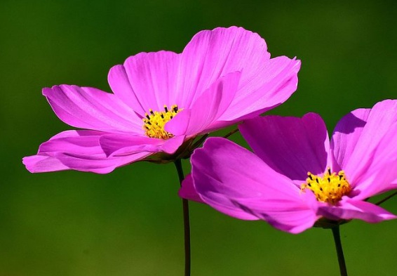 1632272965668882.jpg image.jpg