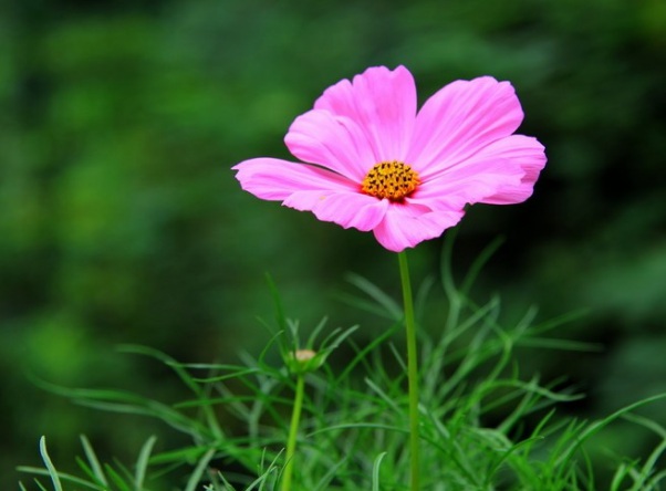 1632273253244581.jpg image.jpg