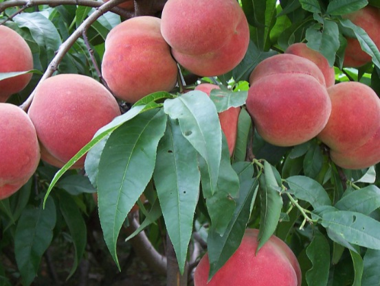 1632273656576564.jpg 1632273656576564.jpg