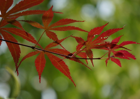 1632278538496496.jpg 1632278538496496.jpg