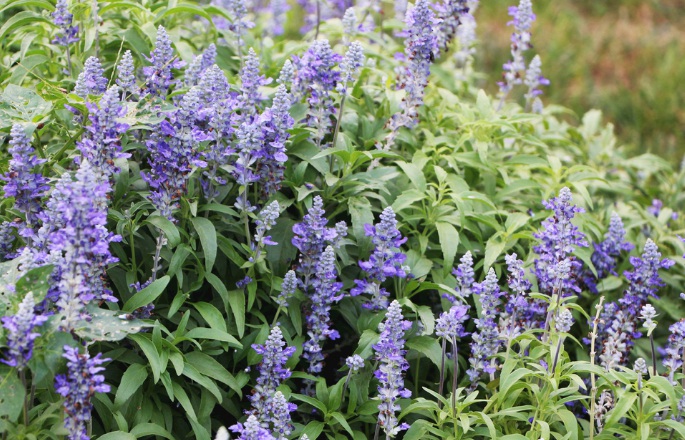 1632280754130322.jpg 1632280754130322.jpg