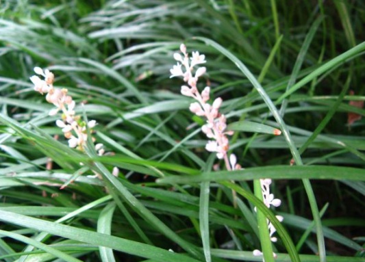 1632286990274784.jpg image.jpg