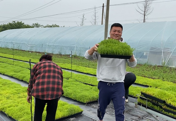 1632287392262262.jpg image.jpg