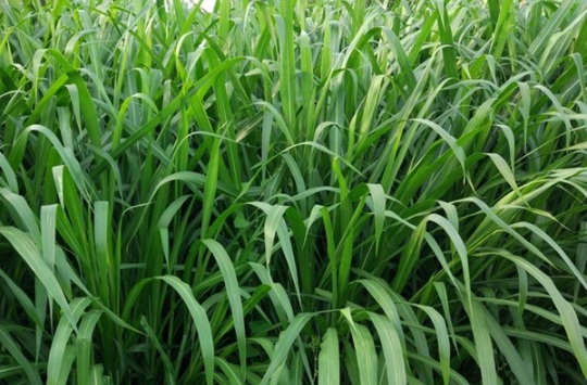 1632288260940359.jpg image.jpg