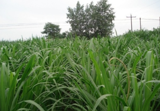 1632288478809966.jpg image.jpg