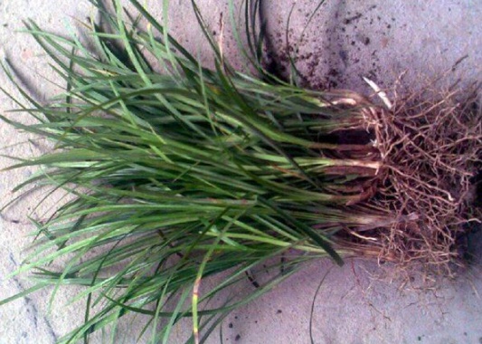 1632288961720614.jpg image.jpg