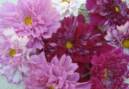 1632289242149438.jpg image.jpg